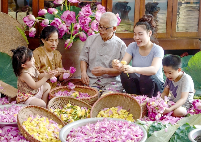 Nâng tầm giá trị sen Hà Nội (kỳ 2): Tinh tế và mong manh như trà sen Tây Hồ - Ảnh 1.