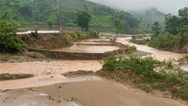 Thời tiết 14/7: Mưa to trên đất liền, các vùng biển có gió mạnh và sóng lớn - Ảnh 1.