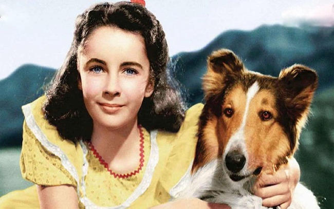 Phim tài liệu về Elizabeth Taylor: Thế giới không còn những ngôi sao như thế! - Ảnh 1., 123b, trang chủ 123b