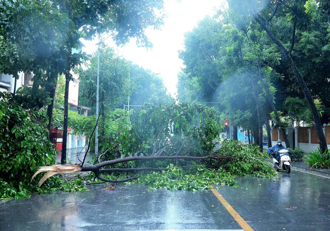 Bão số 3: Chiều 7/9, Đông Bắc Bộ và Thủ đô Hà Nội có gió rất mạnh - Ảnh 1., 123b, trang chủ 123b