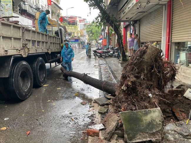 Các biện pháp phòng, tránh tai nạn cây đổ, điện giật do ảnh hưởng của mưa bão - Ảnh 1., 123b, trang chủ 123b